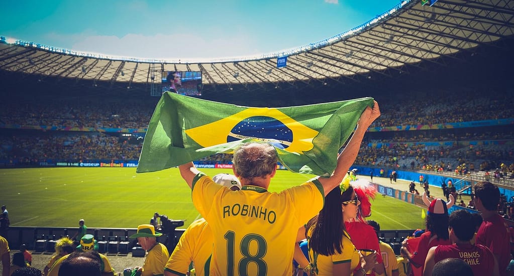 Current image: A man wearing a Brazil shirt and waving a Brazil flag at a football match, with his back to the camera