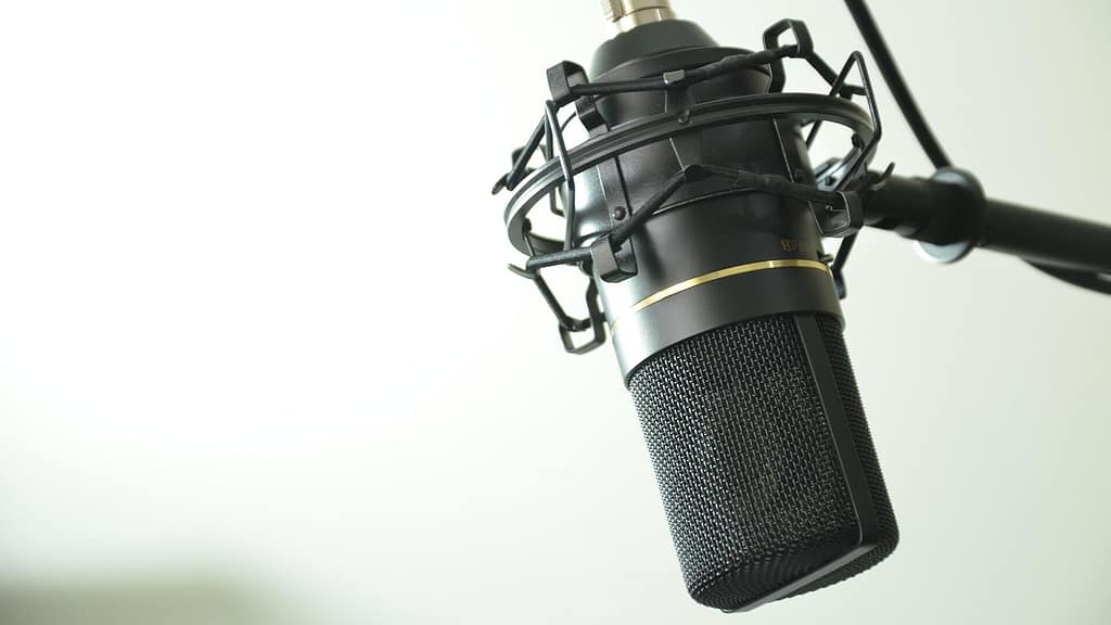 Current image: A high-quality microphone on a stand